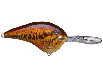 Bandit Crank 100-Series 2-Inch CR Blue Gill 2 to 5-Feet Deep Bait (Green),  Topwater Lures -  Canada
