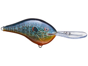 7 Best Crankbaits for Winter Bass Fishing - Wish Upon A Fish