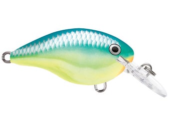 Rapala DT4 Series Crankbaits 