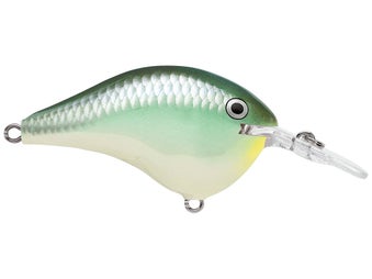 Rapala DT6 Blue Back Herring 