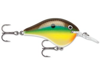 Rapala DT6 Bream