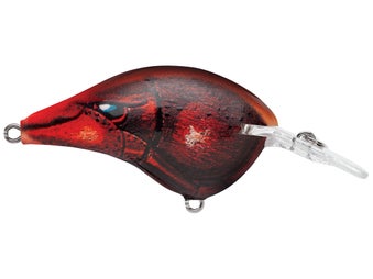 Rapala DT6 Series Crankbaits 