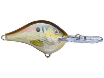 How To Make Your Own DIY Shad Fishing Flutter Spoons Step By