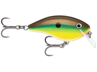 Rapala OG Big Rocco Crankbaits