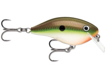 Rapala OG Big Rocco Crankbaits