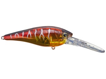 LENPABY 7pcs Deep Diving Crankbait Fishing Lures for Pike & Bass & Salmon  Walleye 9.5cm/3.34/11.2g : : Sports & Outdoors