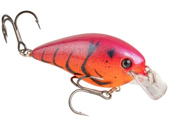 Strike King KVD HC 2.5 Crank Demon Craw