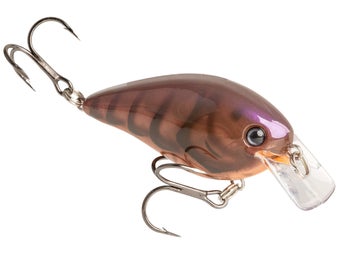 Strike King KVD HC 2.5 Crank Phantom Brown Craw