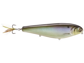 JB Customs Sly Dog 8" Walking Bait