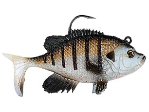 Storm Wildeye Live Sunfish bass fishing lure 