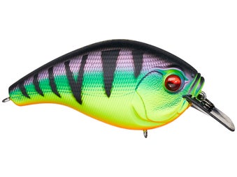 13 Fishing Scamp Squarebill Fire Tiger 2.5