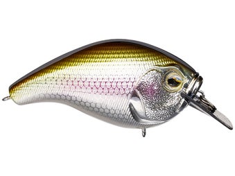 13 Fishing Scamp Squarebill Epic Shad 1.5