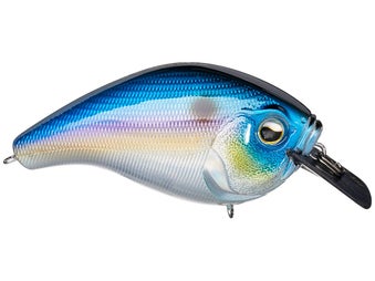 13 Fishing Scamp Squarebill Fantasy Shad 1.5