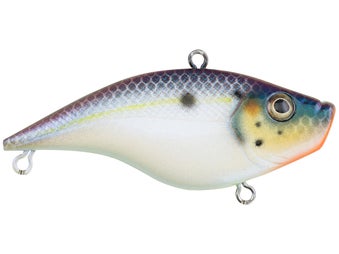 Berkley Warpig Lipless Crankbait