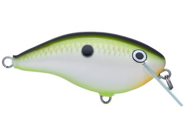 Bill Lewis ATV Squarebill 1.0 Crankbait Green Gizzard