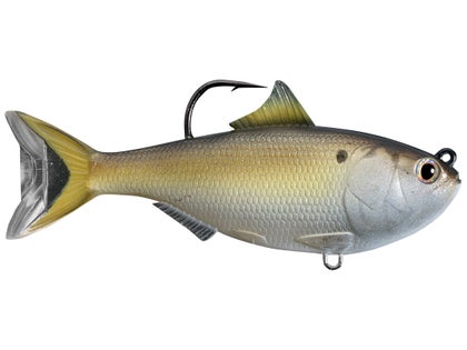 LIVETARGET Gizzard Shad Swimbait | Tackle Warehouse