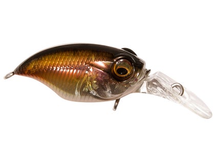 Leurre Flottant Megabass I X I Shad Type-3 - Profondeur 2.3m, Couleur GP Spawn Killer - Pour La Pêche En Mer