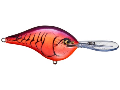Rapala DT14 Tauchköder Für Süßwasser – Wählt Produktbild-Vorschau 6