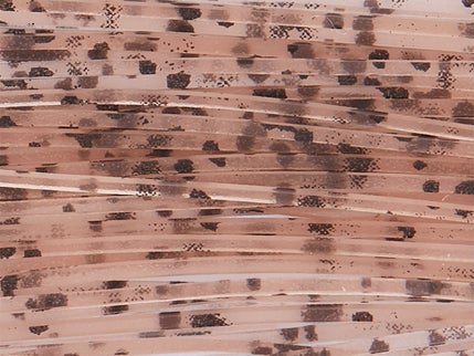 All Terrain Tackle Lure Making & Customization