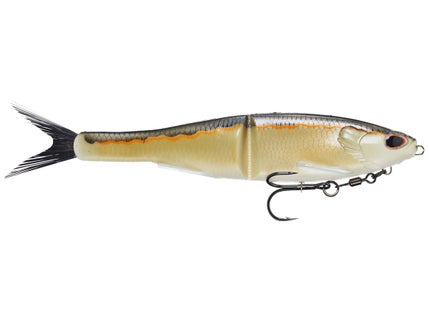 Swimbaits