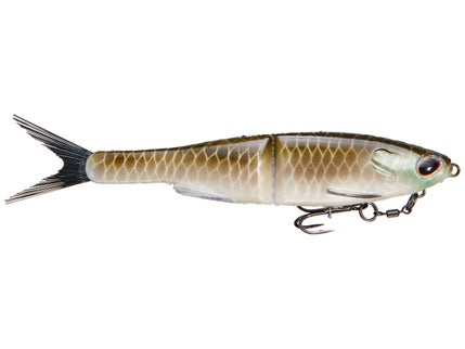 Swimbaits