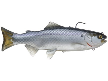 More Tackle Warehouse Exclusive Swimbaits