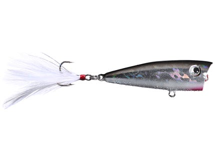 Lobina Topwater Poppers