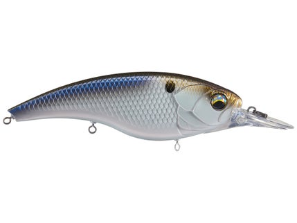 Shallow Diving Jerkbaits (0-6')