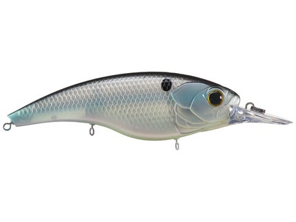 Shallow Diving Jerkbaits (0-6')