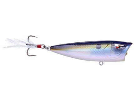 Ark Fishing Baits