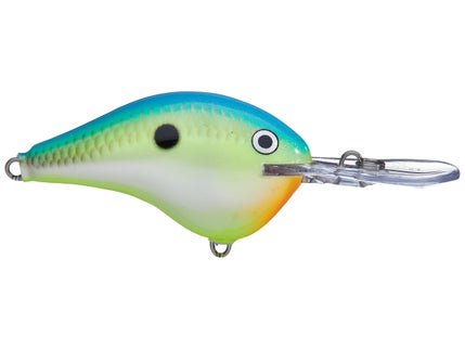 Hard Baits