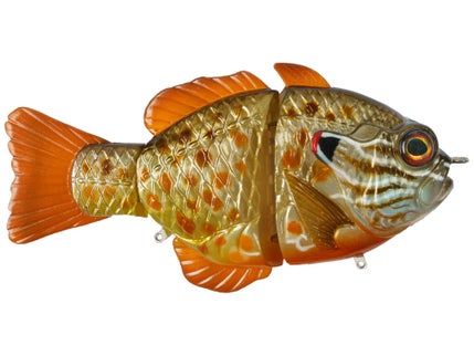 Synch Fishing TW Exclusive Swimbaits