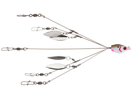  Umbrella Rigs