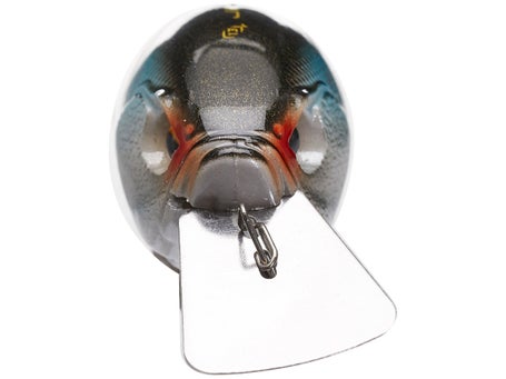 13 Fishing Jabber Jaw Hybrid Squarebill Crankbait