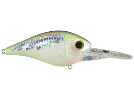 Pro Bass Crush 250MD Live Baby Shad