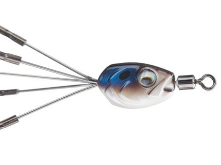 Fishing with Umbrella Rigs in Cape Cod Bay: A Proven Strategy for Big Striped Bass