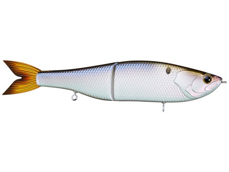 The all-new Trace swimbait is now - 6th Sense Fishing