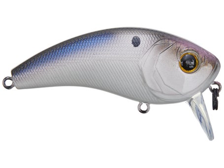 6th Sense Fishing Movement 80WK Saltwater Wakebait Lure 