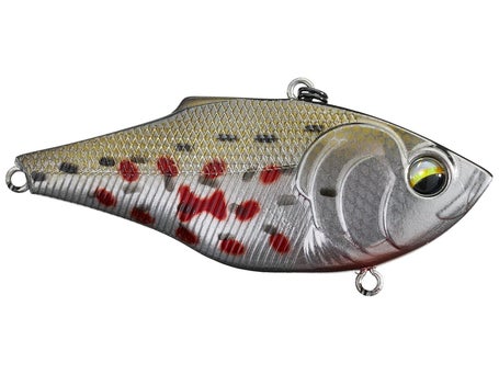 6th Sense Quake Lipless Crankbait, Zavalla Zebra