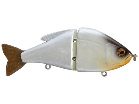 Custom Painted 5” Swimbait Gill