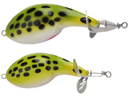 can you fish at lake lure What to Know before Casting Your Line Fishing in Lake Lure | Activities &  Attractions