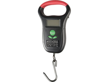 Accu Cull Digital Scale 55Lb | Tackle Warehouse