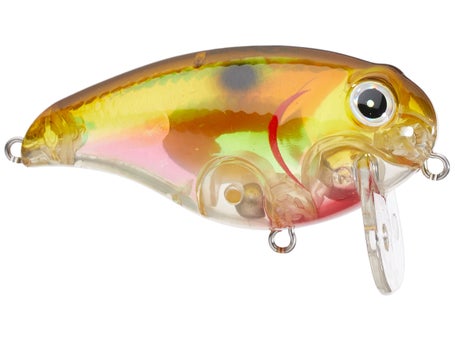 azuma wave z fishing lure Wake the Azuma Wake Z Crankbait is perfect for targeting fish that are utilizing the top of the water column to feed Profound Outdoors - Azuma Popper