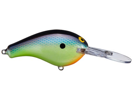 Bagley Diving Balsa B1 - Bait-WrX