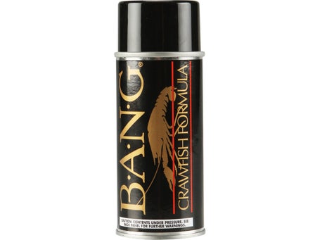 Buy Bass Assassin Bang Fish Attractant Aerosol Garlic 5 Oz. 3119 online