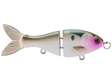 Bucca Brand BFS Trick Shad 2.5