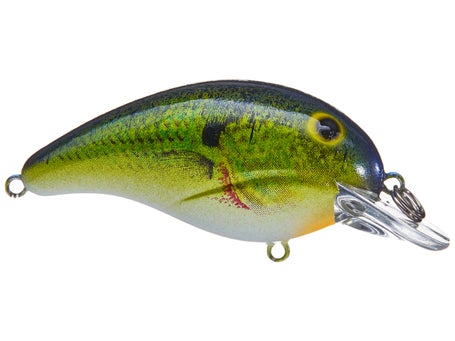 Bandit 100 Series Crankbait - Chrome Blue Back