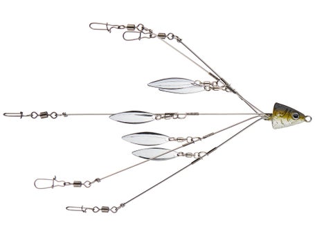 Blacks Custom BFL Umbrella Rig