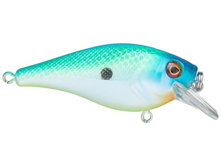 Berkley Clickin' Frittside 5 Crankbait