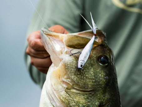 best deal on shimano curado 300K – The Hook Up Tackle Rotomolded Cooler Fishing Rod Brand_G Loomis SilentTune Technology introduced to Size:7'0